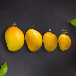 Valsadi Hapus C Grade